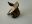 Picture of DIGGA MEDIUM PILOT FISH TAIL D580